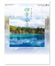 画像1: 四季水景 ＠430円〜(税込)